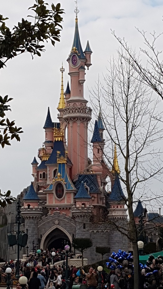 Disneyland Paris mit behinderten Kindern - wir haben uns getraut